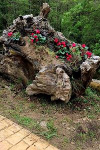 Una roca con flores rojas encima. en Haraneko errota, en Chávarri