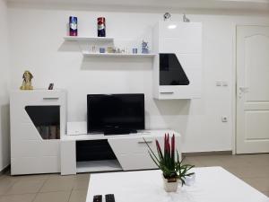 ein Wohnzimmer mit einem TV an einer weißen Wand in der Unterkunft Apartmani Pajic in Jagodina