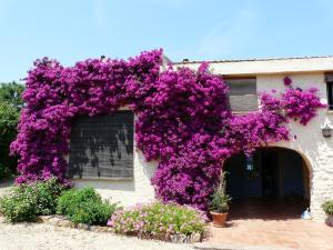 un edificio con fiori viola sul lato di Casa rural con encanto, 4 hab con 4 baños completos en suite, piscina y campo privado a Pedreguer