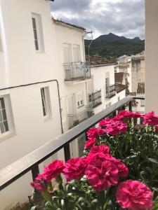 a bunch of pink flowers on a balcony at Apartamentos La Palma in Ubrique