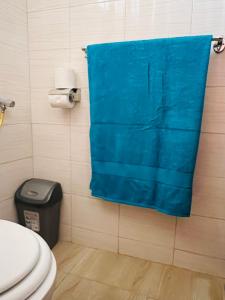 y baño con cortina de ducha azul y aseo. en Dala Luxury Home- Bondo en Bondo