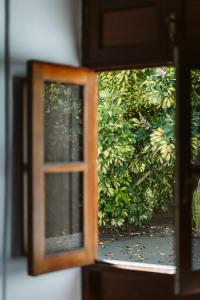 
a window with a view of a forest at Hotelito Rural Flor de Timanfaya in Tinajo
