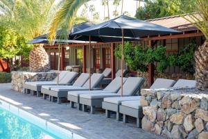 a row of lounge chairs with umbrellas next to a pool at Sparrows Lodge in Palm Springs