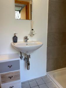 La salle de bains est pourvue d'un lavabo, d'un miroir et d'une baignoire. dans l'établissement Birdbox Curzútt, à Monte Carasso