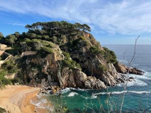 Imagem da galeria de Sa Calma em Tossa de Mar