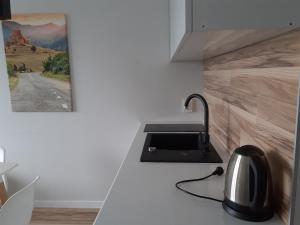 a kitchen counter with a sink and a microwave at BATUMI BEACH TOWER in Batumi