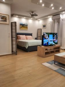 Televisyen dan/atau pusat hiburan di Tony's suite with parking