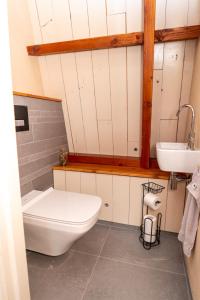ein Bad mit einem WC und einem Waschbecken in der Unterkunft klein polderhuis - bollenschuur in Roelofarendsveen