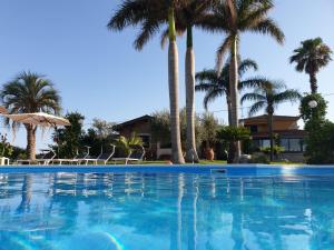 una piscina con palmeras en el fondo en Valleforno Country House di Charme, en Ispica