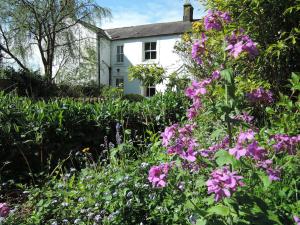 a garden with purple flowers in front of a white house at Hadrian's Barn in Heddon on the Wall