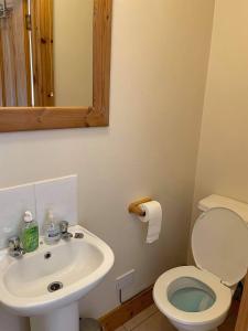 uma casa de banho com um WC, um lavatório e um espelho. em Church View B&B em Ballycastle