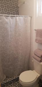 a bathroom with a shower curtain and a toilet at Cabaña La Camelia in Creel