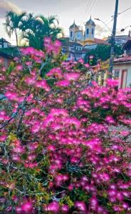 een veld van roze bloemen voor een stad bij Hospedaria e Hostel da Déia in Ouro Preto