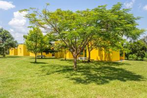 a park with a yellow building and a tree at Pousada Chalés Praia Vermelha in São João Batista do Glória