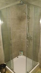 La salle de bains est pourvue d'une douche avec une porte en verre. dans l'établissement apartman stan na dan Sarajevo EMA, à Sarajevo