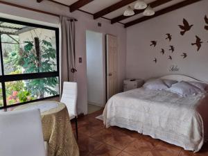 1 dormitorio con cama y ventana grande en Posada Verde Natura, en Viña del Mar