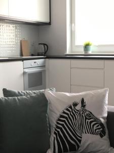 Kuchyňa alebo kuchynka v ubytovaní Apartament Miętowa Zebra