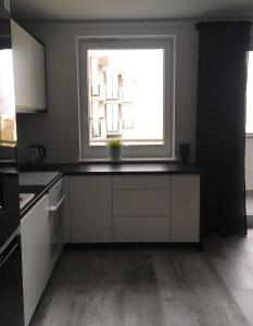 Kuchyňa alebo kuchynka v ubytovaní Apartament Miętowa Zebra
