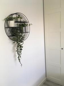 Fotografia z galérie ubytovania Apartament Miętowa Zebra v destinácii Olsztyn