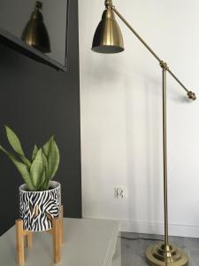 Fotografia z galérie ubytovania Apartament Miętowa Zebra v destinácii Olsztyn
