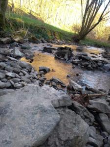 ein Fluss aus Felsen und Wasser mit Bäumen im Hintergrund in der Unterkunft Gasthaus Linde in Ingelfingen