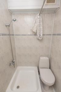 a bathroom with a toilet and a bath tub at Butas Nidos centre in Nida