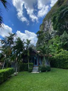 Vipa Tropical Resort في شاطيء آونانغ: بيت فيه نخل قدام جبل
