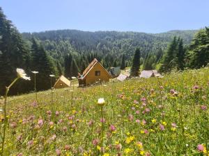 un campo de flores frente a una montaña en Eko Katun Bungalows Jelovica, en Berane