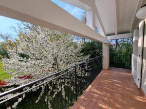 A balcony or terrace at Villa Venezia