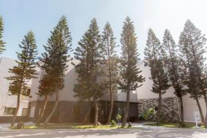a group of trees in front of a building at 杉杉行旅 Araucaria Residence in Huxi