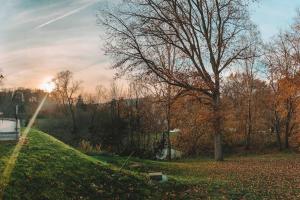 a grassy hill with a tree in a park at Le Mirador in Lasne