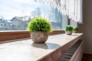Fotografie z fotogalerie ubytování Haus Kindler v destinaci Radstadt