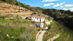 a house on the side of a hill with a road at Quinta do Fojo Valonguinho, Barrô in Barrô
