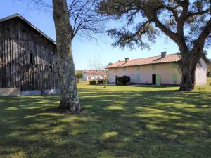 a barn with two trees in front of it at LE PETIT FROUAS SUD in Vielle-Saint-Girons