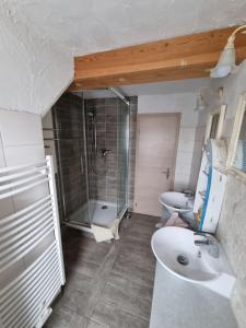 ein Bad mit einer Dusche, einem Waschbecken und einem WC in der Unterkunft Ferienwohnung Dölzig in Schkeuditz