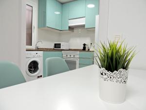 una cucina con armadi blu e una pianta in vaso di Casa Gascona con parking, wifi y netflix gratis!! By DeLabra Apartments a Oviedo