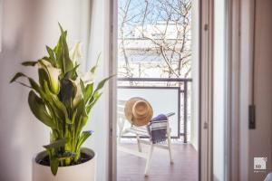 drzwi prowadzące na balkon z krzesłem i rośliną w obiekcie Hotel Fattori Mare w Cesenatico