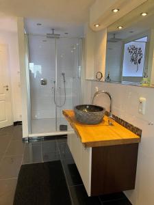 a bathroom with a sink and a shower at Heidezeit 5 in Neuenkirchen