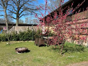 a tree with pink flowers next to a building at Heidezeit 5 in Neuenkirchen