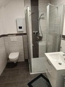 a bathroom with a shower and a toilet and a sink at Appartment Merle in Wimbach