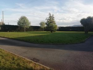 a grassy field with trees on the side of a road at Arley House B & B in Dundrum