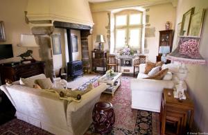 Una sala de estar con dos sofás y una chimenea. en Maison Lavande, en Varen