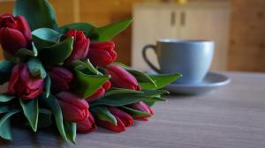Kaffi- og teaðstaða á Jantar