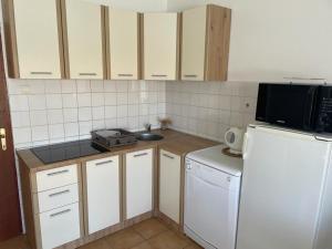 Kuchyň nebo kuchyňský kout v ubytování Apartment E&M