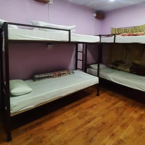 Rúm í herbergi á Margik Backpackers Hostel