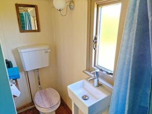 a bathroom with a toilet and a sink and a window at Pen Bryn Shepherd Hut in Hay-on-Wye