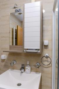 Ein Badezimmer in der Unterkunft Apartman Saga Premium Garaza Parking Vauceri Ne