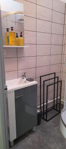 La salle de bains est pourvue d'un lavabo et de toilettes. dans l'établissement Gite La Revinoise, à Revin