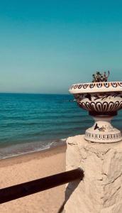 un vaso seduto su un muro vicino alla spiaggia di Valenti rooms & relax a Villaggio Mosè