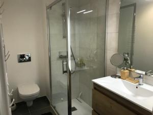 La salle de bains est pourvue d'une douche, de toilettes et d'un lavabo. dans l'établissement Le chalet des étoiles, à La Mongie